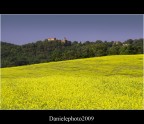 giallo....