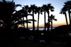 Tropici Tropici