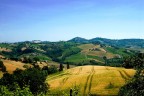colline marchigiane