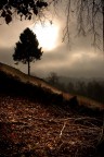 solitario solitario