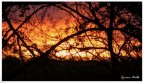 Tramonto infuocato Tramonto infuocato