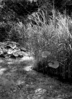 Rio popogna 2 Rio popogna 2