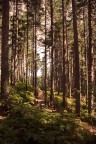 Natura Natura