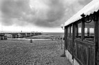 IMG_0787 IMG_0787