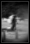 Aborigen Shadow Aborigen Shadow