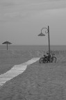 the end the end
