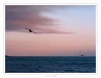 canadair al tramonto canadair al tramonto