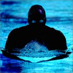 The Dark Swimmer The Dark Swimmer