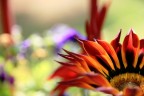 A colori... A colori...