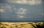 oceano... oceano...