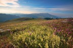 Parco Nazionale dei Sibillini Parco Nazionale dei Sibillini