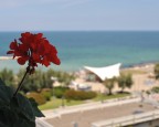 ROSSO E BLU ROSSO E BLU