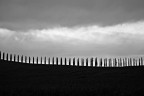 Il Pettine di Zeus