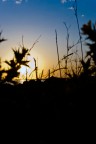Tramonto...ma non solo Tramonto...ma non solo