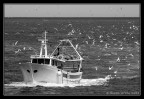 Ritorno al porto Ritorno al porto