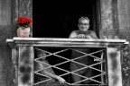 Il Geranio Il Geranio