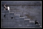 La vita è fatta a scale La vita è fatta a scale