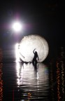 giochi di ombre e luce nell'acqua giochi di ombre e luce nell'acqua