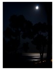 mOOnlight mOOnlight