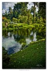 Giardini di Ninfa -1- Giardini di Ninfa -1-