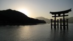 Tori Miyajima
