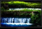 Giardini di Ninfa -2- Giardini di Ninfa -2-