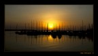 il porto il porto