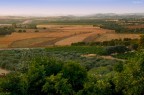 I colori della terra... I colori della terra...