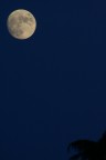 Luna al tramonto Luna al tramonto