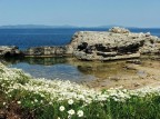 Pianosa Pianosa