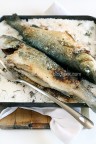 Fish on the salt