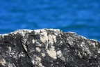 Mare e roccia Mare e roccia