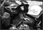 il casco il casco