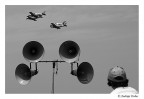 \ \ 8 8 I ... \ \ 8 8 I ...