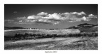 ...country summer... ...country summer...