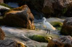 flowing water flowing water