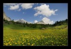 alpe corte corbenas alpe corte corbenas