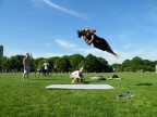 Jumping Jumping