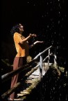 Pioggia di stelle Pioggia di stelle