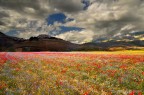 castelluccio castelluccio