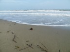 Solitudine Solitudine