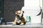 Relax dopo una Heineken Relax dopo una Heineken