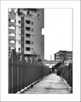 un gatto nero un gatto nero
