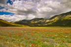 castelluccio castelluccio