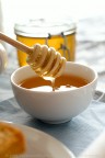 Honey Honey