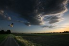 img_bis img_bis