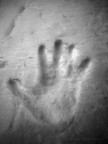 Impronta Impronta