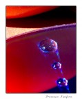 Forme-e-colori Forme-e-colori
