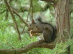 spuntino spuntino