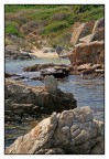 Mare Mare